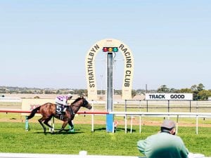 Strathalbyn Racing Club