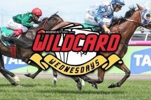 Wildcard Wednesday roughie bets for January 24