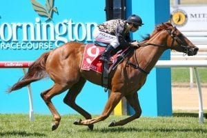 Mornington horse racing tips for Sunday April 4