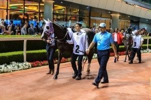 Veteran Stars Lead The Charge In Jebel Ali Friday Feature