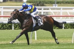 Dawn Passage favourite for $2m Millennium