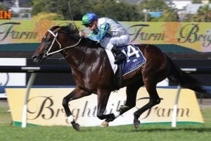 Australian Group One target for Ardrossan