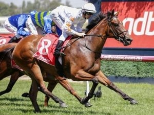 Favourite Gaby draws wide in Blue Diamond