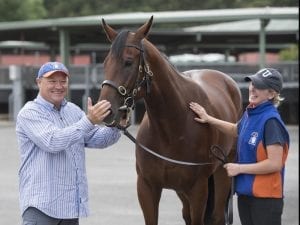 McEvoy team on target for Blue Diamond Stakes