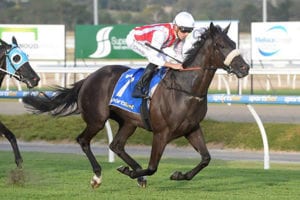 Autumn Classic betting tips & top odds | Caulfield R5 | 20/2/2021