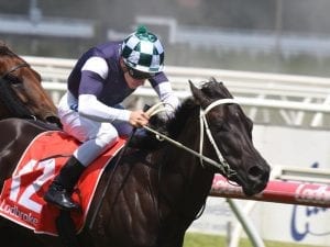 First-up win at Caulfield keeps Eurack streak intact