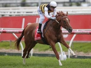 Gailo Chop impresses first-up at Caulfield