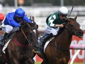 Cummings to have strong hand at Caulfield