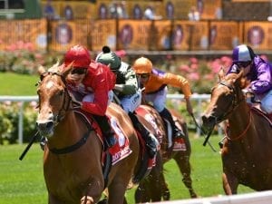 Warren focused on Blue Diamond with filly