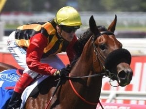 Kinky Boom impresses with Caulfield win