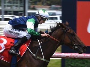 Paris Rock secures a third straight win