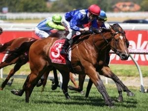 Qafila finishes strong to win at Caulfield