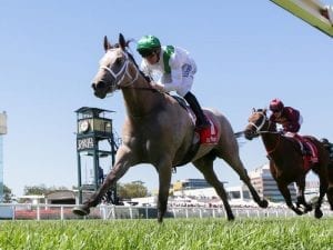 Unbeaten Terbium makes it four straight