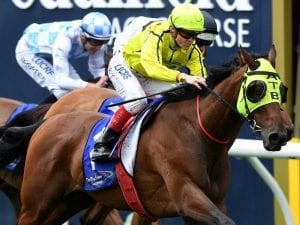 Yogi wins first-up for new Caulfield yard