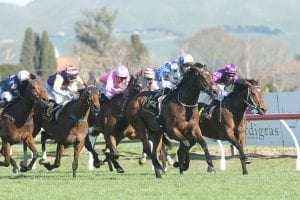 Double tilt at Group One for Wexford Stables