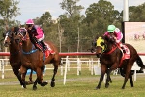 Corey Bayliss winning on All Irish