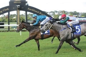 Baker-Forsman trio on trial for Derby