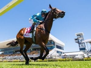 Vincere Volare chases prize money boost