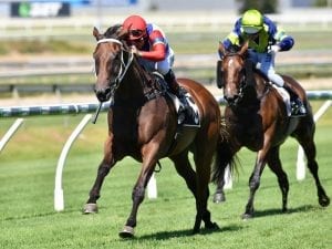 Ben Currie in biggest Brisbane attack