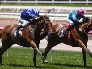 Khulaasa chases stakes win at Flemington