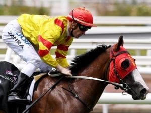 Prairie Fire books berth in Blue Diamond Stakes