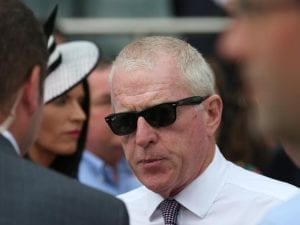 Price pair tackle tough C S Hayes Stakes