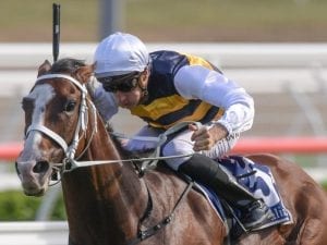 Tom to run against Winx in Apollo Stakes