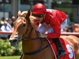 Brooklyn Hustle gallops at Caulfield