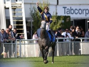 Chautauqua nominated for Oakleigh Plate