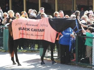 Black Caviar