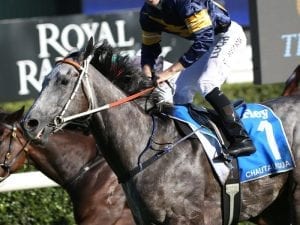 Chautauqua builds towards TJ Smith Stakes