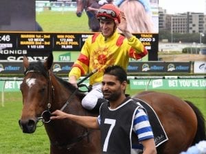 Legend Of Condor to make Pierro return