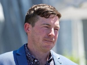 Trainer Ben Currie seeks internal review