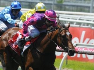 Lady Horseowner a late entry for Blue Diamond Stakes