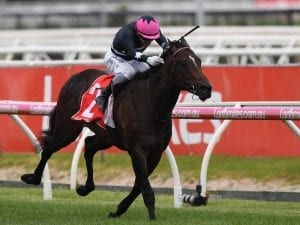 Freedman Racing confirms Diamond riders