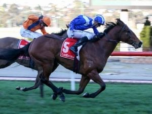 Faatinah second to Blue Point in Dubai