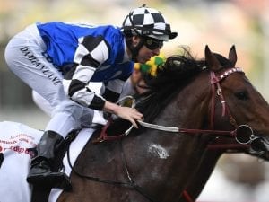 Brave Smash installed Group 1 Futurity Stakes favourite