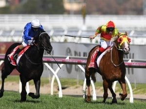 Mighty Boss to take on older horses again in Futurity Stakes