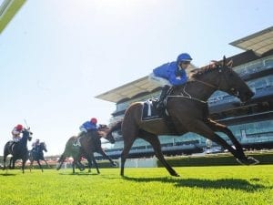 Alizee on song for G1 Futurity Stakes