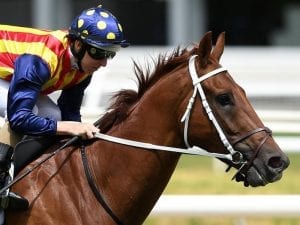 Nature Strip heads Oakleigh Plate market