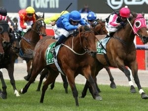 Osbourne Bulls faces "interesting" Lightning Stakes test