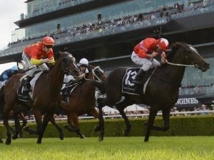 Price gallopers set to trial at Cranbourne