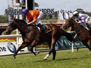 Group 1 winner Takedown on comeback trail