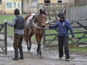 UK equine flu tests negative, for now: BHA