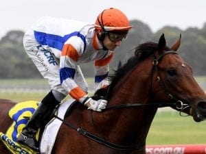 Tony McEvoy has Vinland on song for CS Hayes