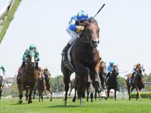 23 entries for $2m Inglis Millennium