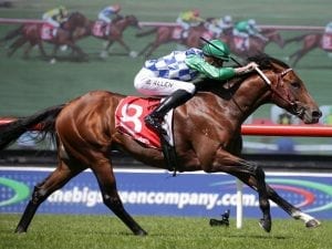 Darren Weir enters horses for Caulfield