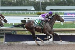 Harvey Wallbanger rides the rail to Holy Bull shocker