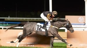 Shillong Crowned King Of Jebel Ali Sprint