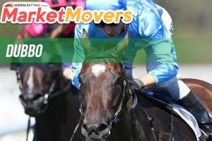 Dubbo market movers for Thursday, February 15